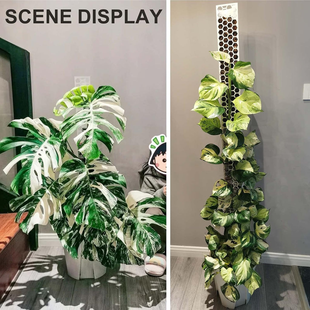 8 Pack 17 Inch Plastic Moss Pole for Monstera | Stackable Plant Support for Indoor Climbing Plants, Durable Plant Stake