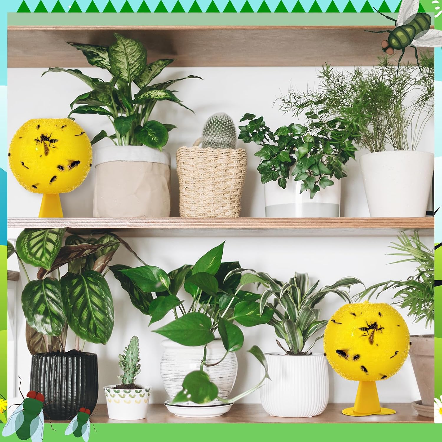 Qualirey 10 Set Fruit Fly Sticky Trap Balls Fungus Gnat Killer Bug Catcher Gnat Trap Insect Traps Indoor Outdoor Plant