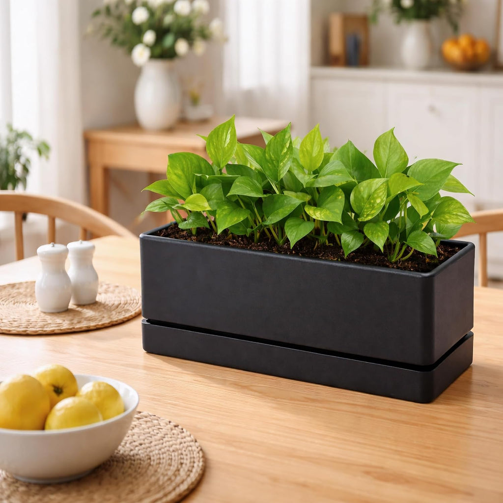 D'vine Dev 2-Pack Rectangular Planters, 12 x 4.5 in, Black, 76-X-B-2 | Minimalist Design, Large Planting Capacity