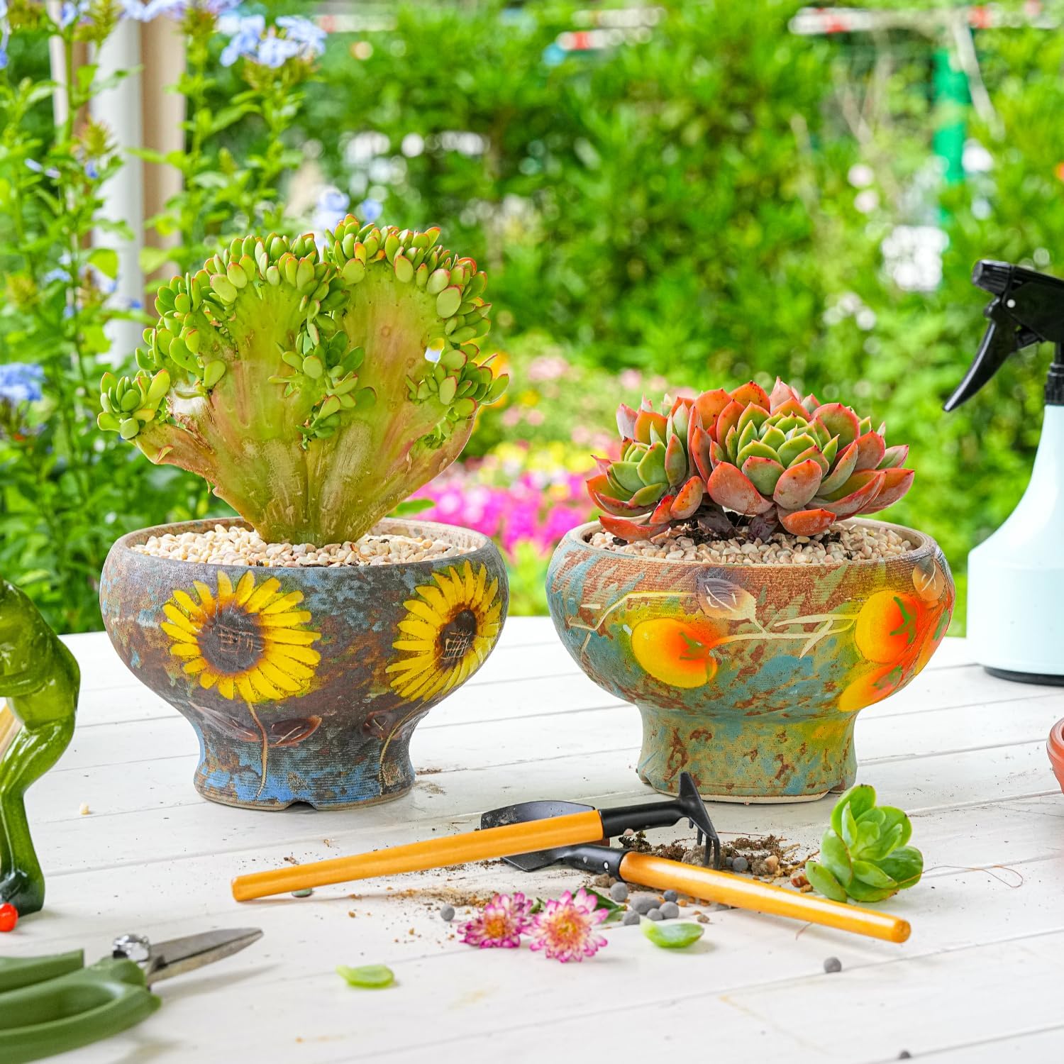 Sungmor Small Succulent Planters Set of 2, Beautiful Hand Crafted Ceramic Plant Pots Cute Cactus Pot, 6.5 Inch Flower