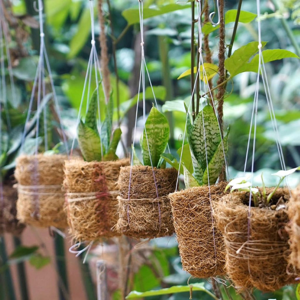 2 Rolls Coconut Fiber Liners for Planters 16x118 Natural Coco Coir Roll | Coco Fiber Pad for Hanging Flower Planters