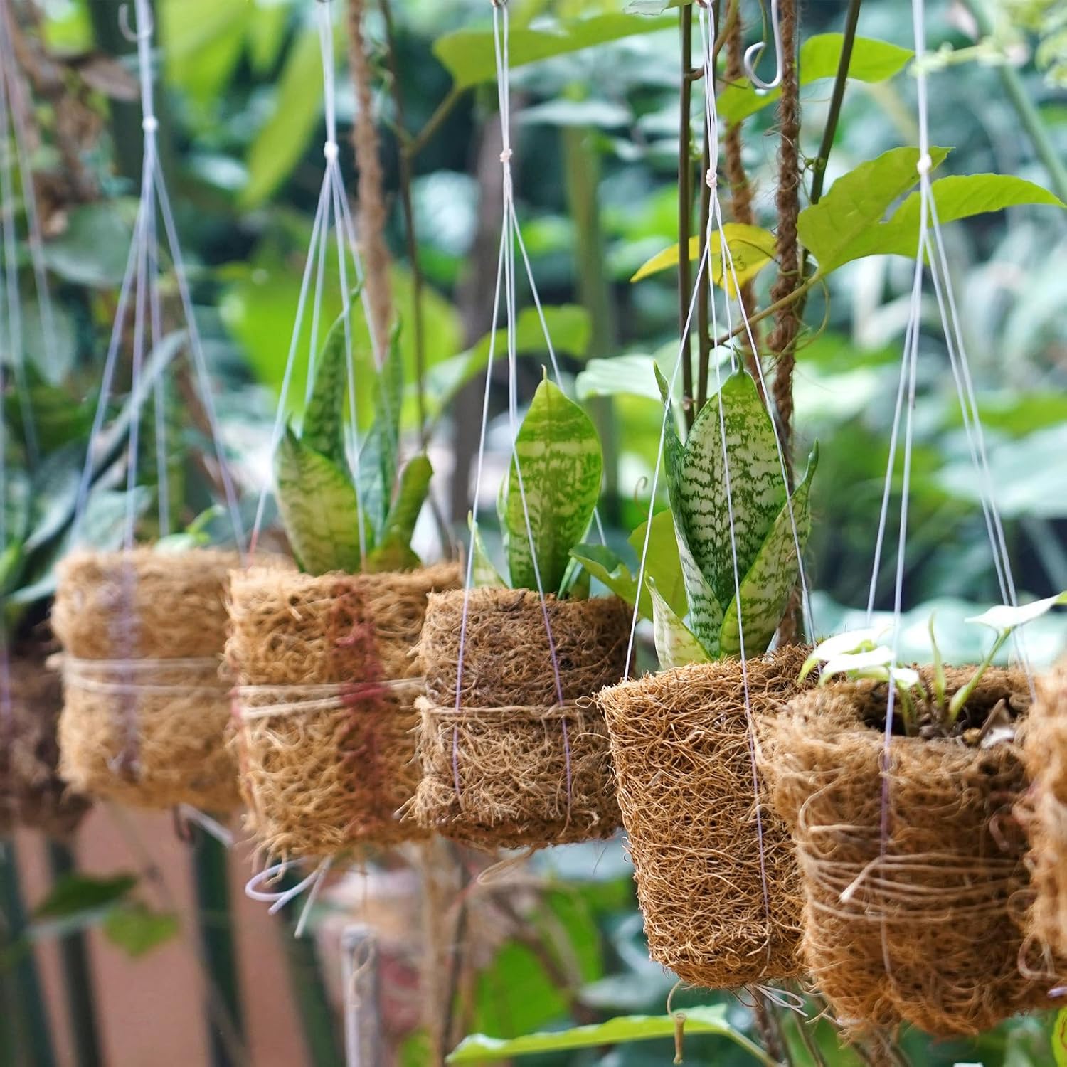 2 Rolls Coconut Fiber Liners for Planters 16x118 Natural Coco Coir Roll | Coco Fiber Pad for Hanging Flower Planters