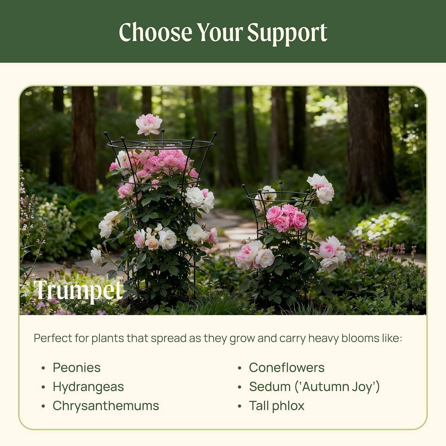 Peony Cages and Supports 2 Pack, Heavy Duty Metal Flower Support Cage, 24"(W) x 36" (H) Trumpet Plant Support for