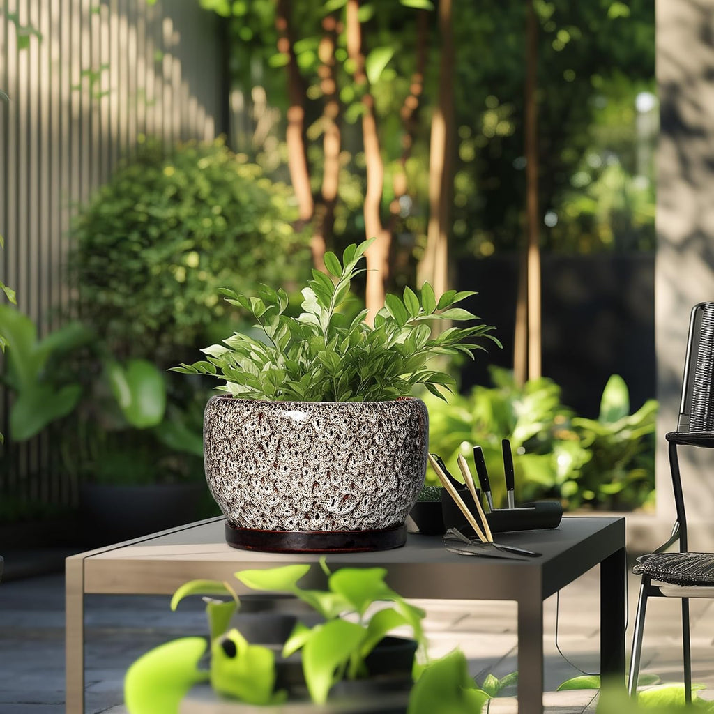 SQOWL Ceramic Plant Pots - 10 Inch Planter for Indoor Plants Outdoor, Large Flower Pots with Drainage Hole and Saucer