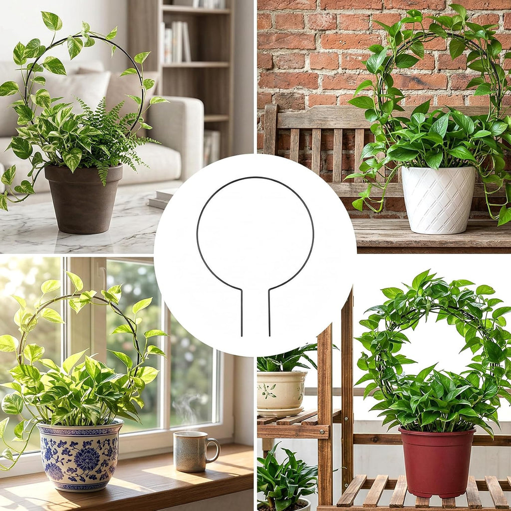 20 Pcs Round Plant Trellis for Indoor Potted Plants, 10.5 InchSmall Trellis for Climbing Plants Indoor Outdoor Plant