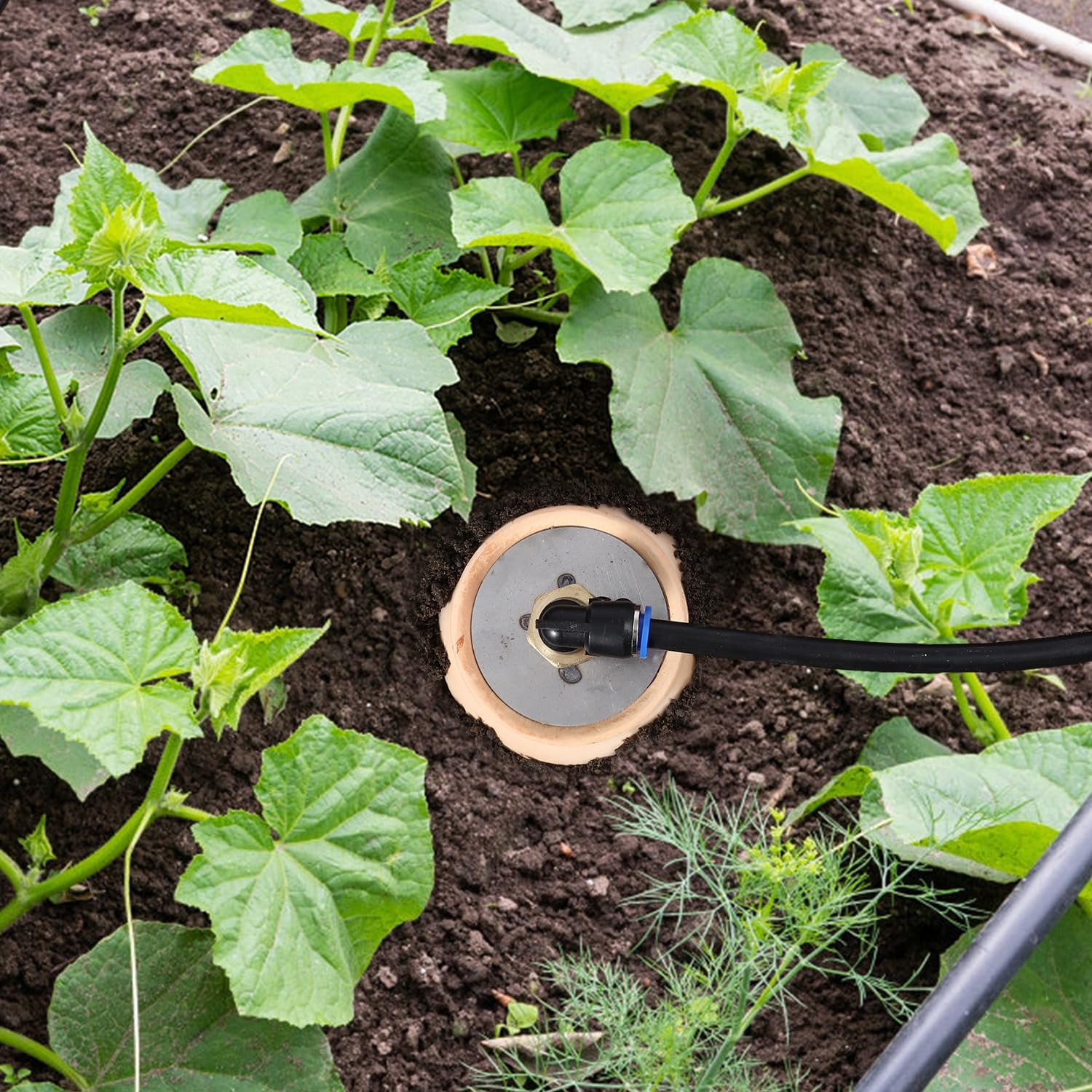 6pcs Ollas IIrrigation System Large Classic Self-Watering Ollas Self Watering 41oz Olla Watering System 4x4x8in Classic