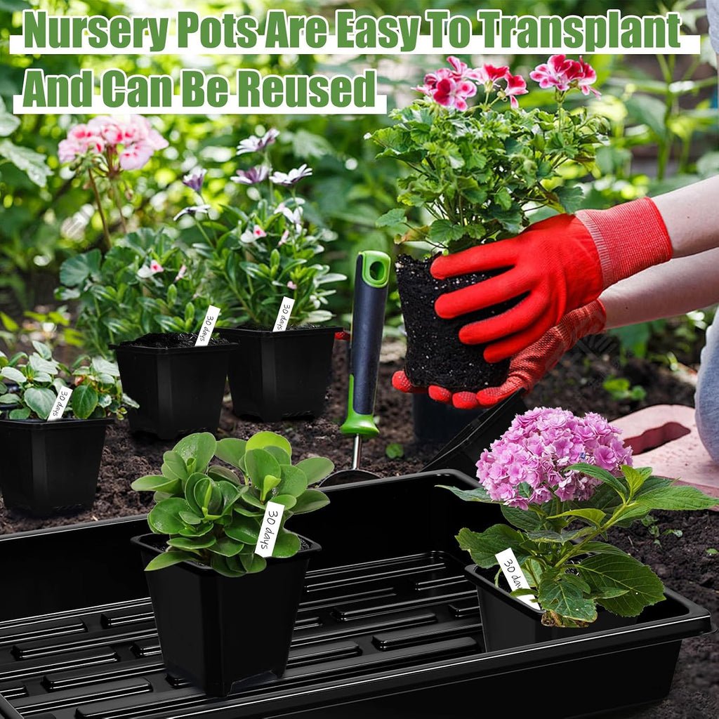 mwellewm 5 Pcs Seed Starter Tray, 3.5 Inch (9CM) 60 Pcs Nursery Pots Kit, Thickened Seed Starting Trays Square Seedling