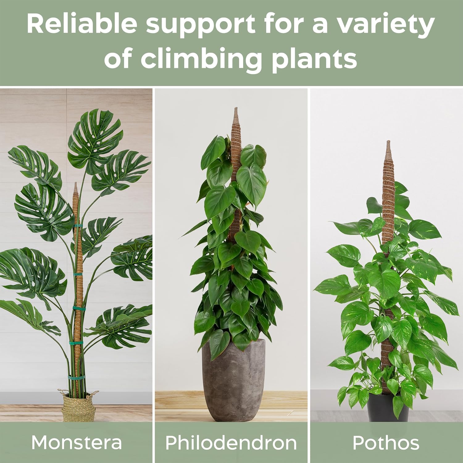 K-Brands 4 Pack Moss Pole Bundle - 2 x 63'' + 2 x 25'' Monstera Plant Support - Moss Poles for Climbing Plants Monstera