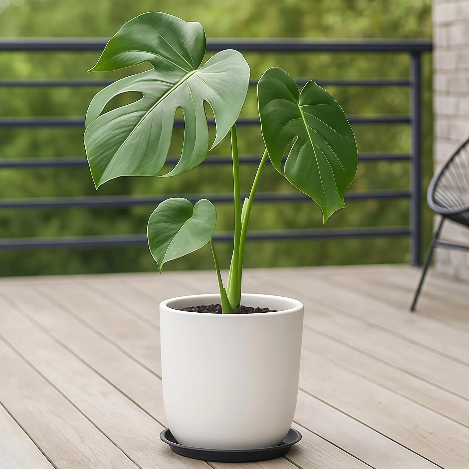 10 Pack Plant Saucer 20 Inches Plastic Drip Trays to Catch Water, Black | Round plastic flower pot saucers for indoors