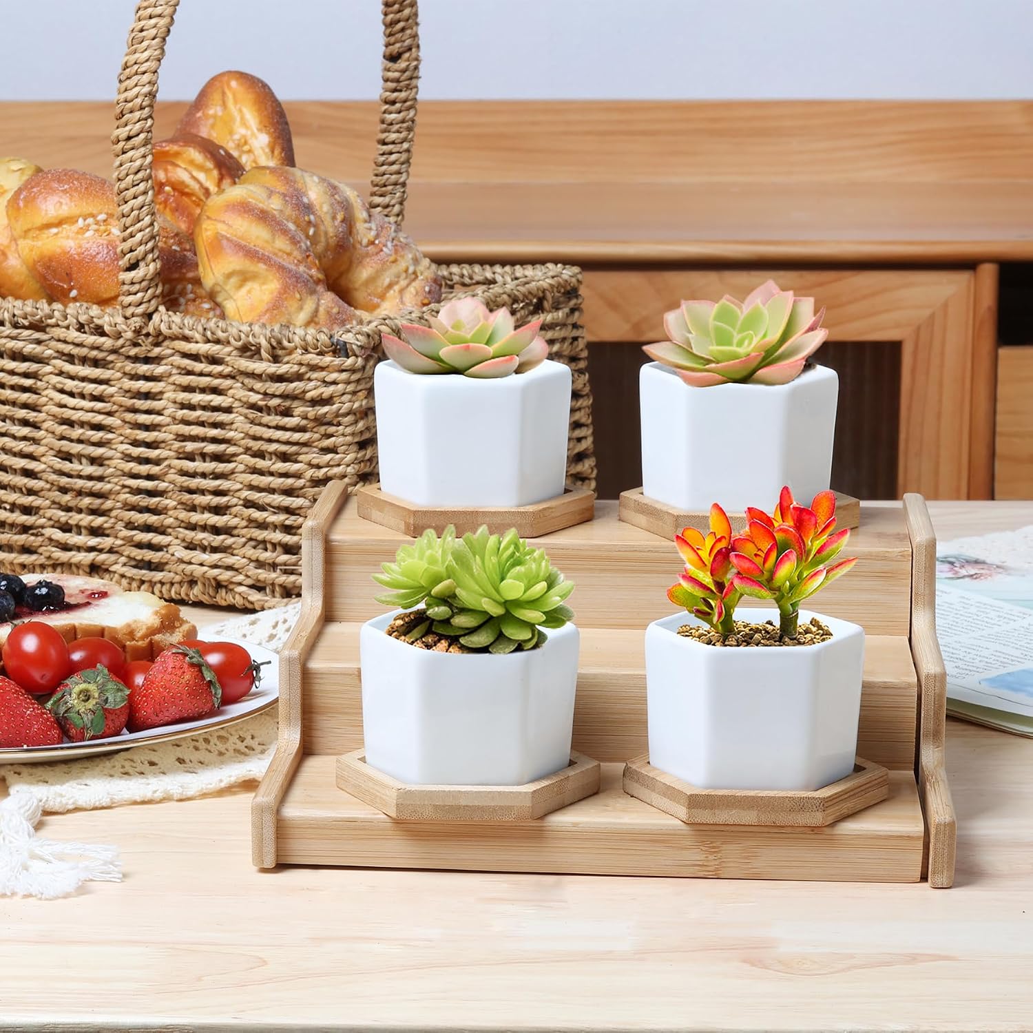 T4U Small Succulent Pots 12 Pack, Mini Flower Planters with Drainage White | Live cactus bonsai starter, Indoor