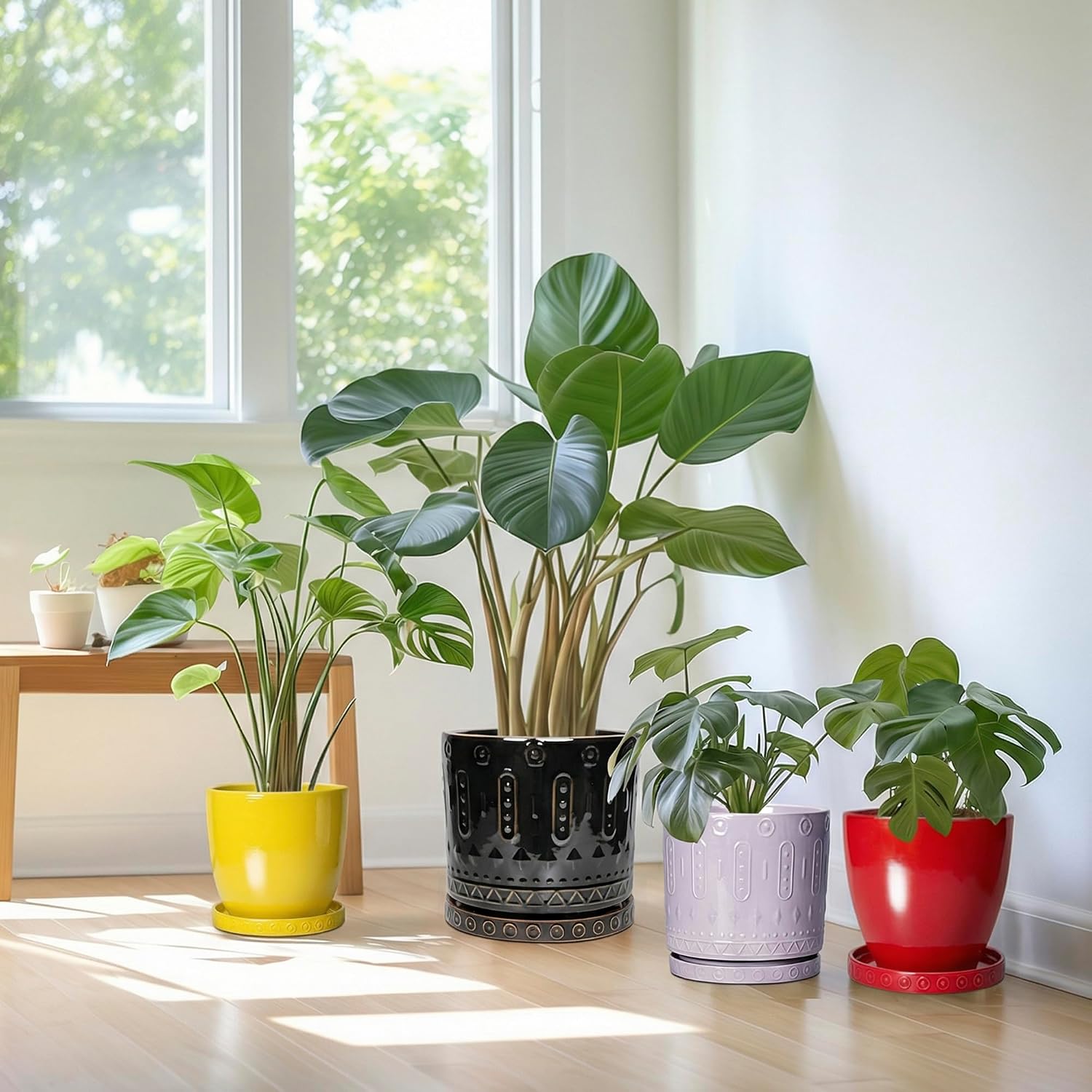 Eightpot Plant Drip Trays, 11.4 Inch Plant Saucers for Indoors, Ceramic Plant Saucers for Outdoors, Round Plants Plates