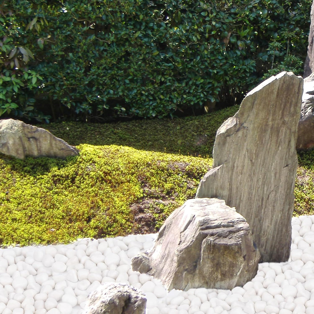 Pulovin 15 lbs White Rocks for Landscaping, Vases, Plants Indoor, 1-2 Inch | Large White Rocks for Plants, Decorative