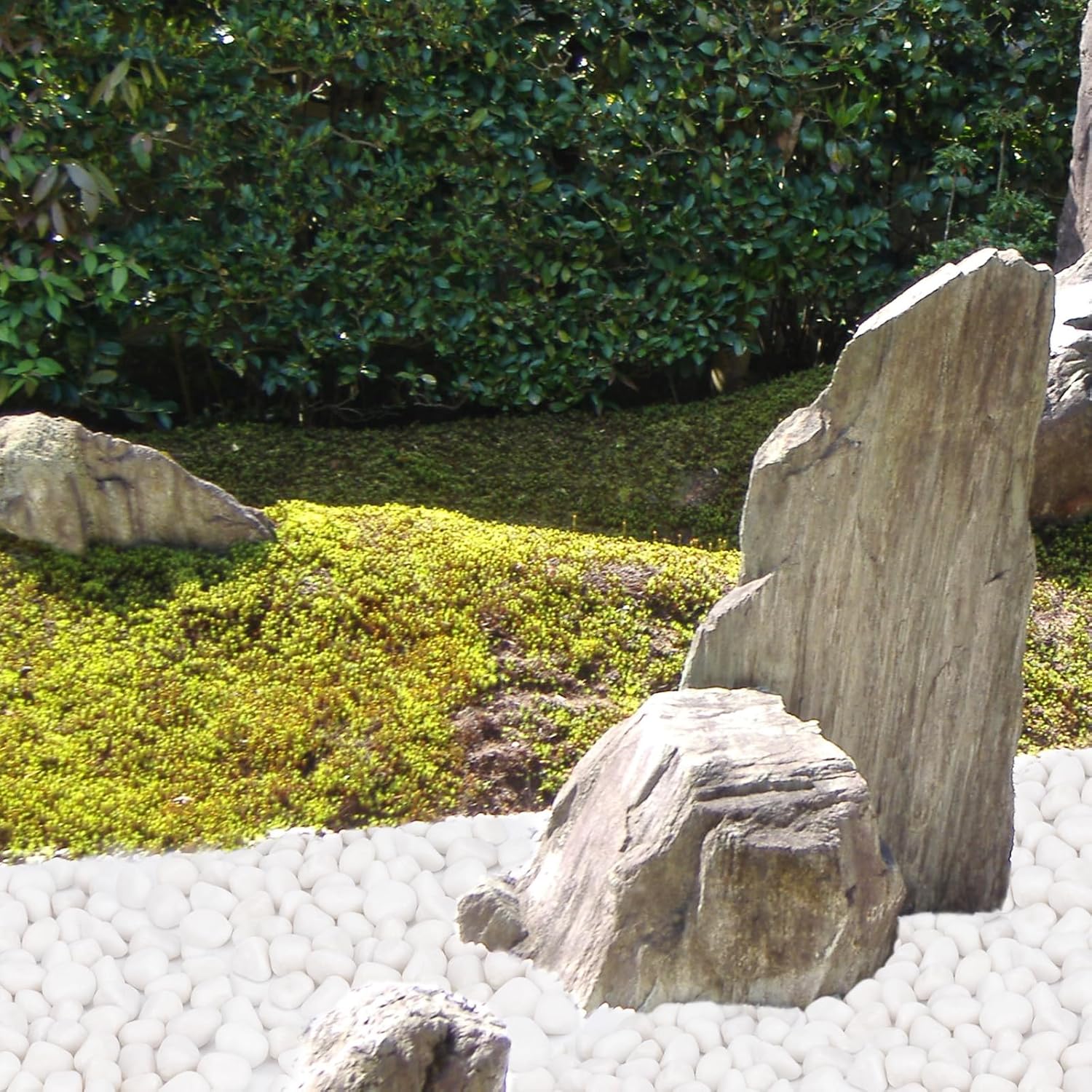 Pulovin 15 lbs White Rocks for Landscaping, Vases, Plants Indoor, 1-2 Inch | Large White Rocks for Plants, Decorative