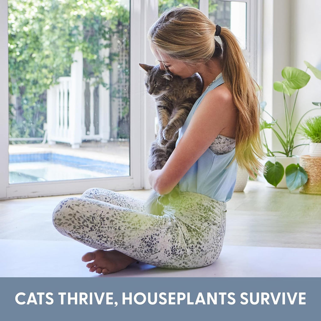 The Cat Ladies Cat Grass Growing kit with Organic Cat Grass Seed, Soil and Two Ceramic Planters with Bamboo Trays