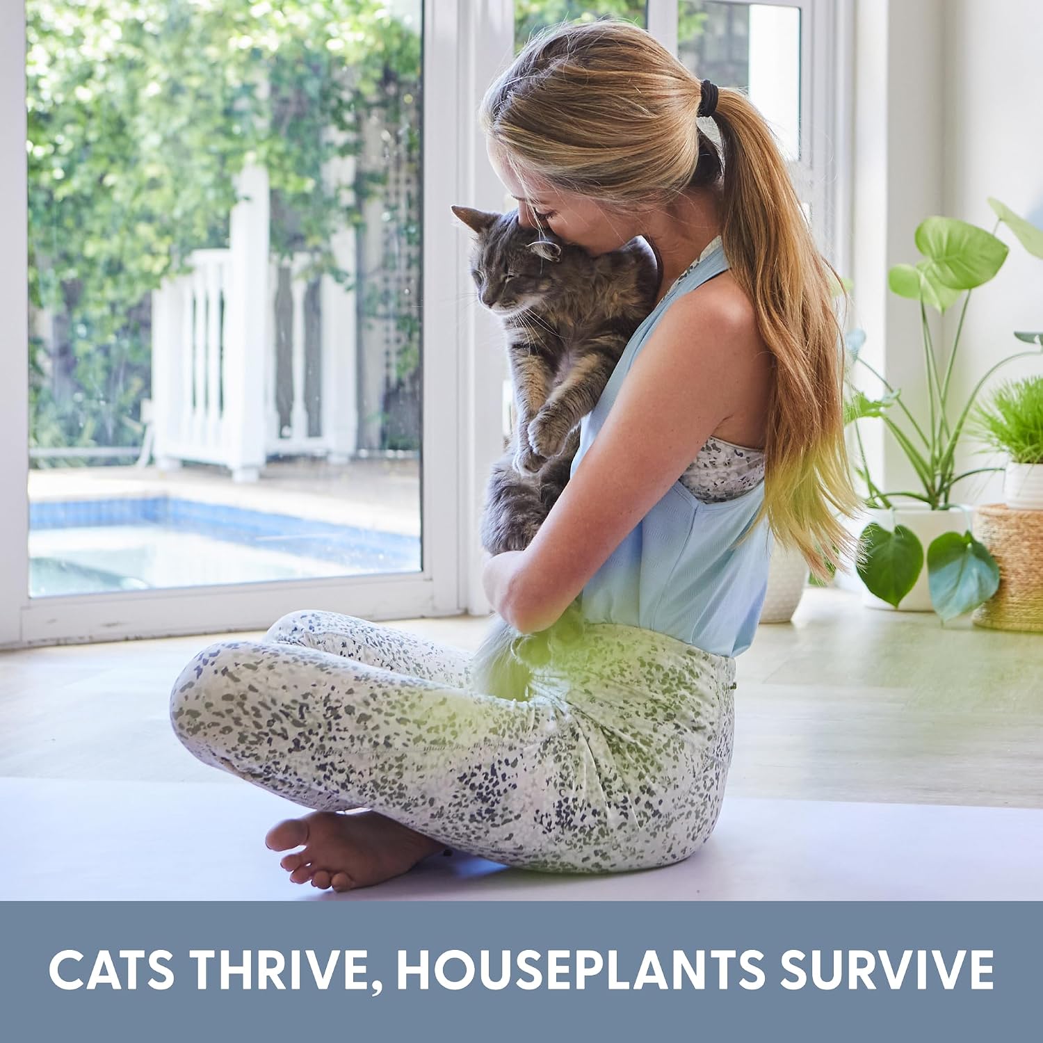The Cat Ladies Cat Grass Growing kit with Organic Cat Grass Seed, Soil and Two Ceramic Planters with Bamboo Trays