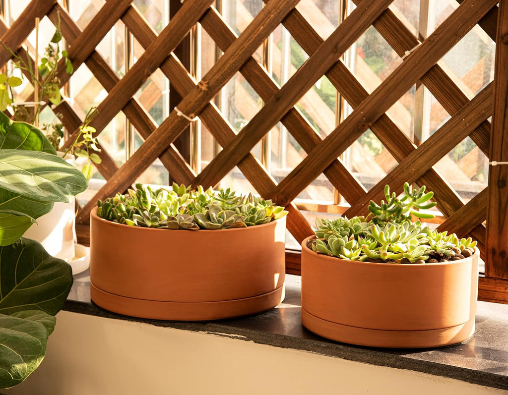 D'vine Dev Terracotta Shallow Planter Pot with Saucer, 10 in, 40-Y-B-0 | Wide Bowl Design, Unglazed Terracotta, Porous