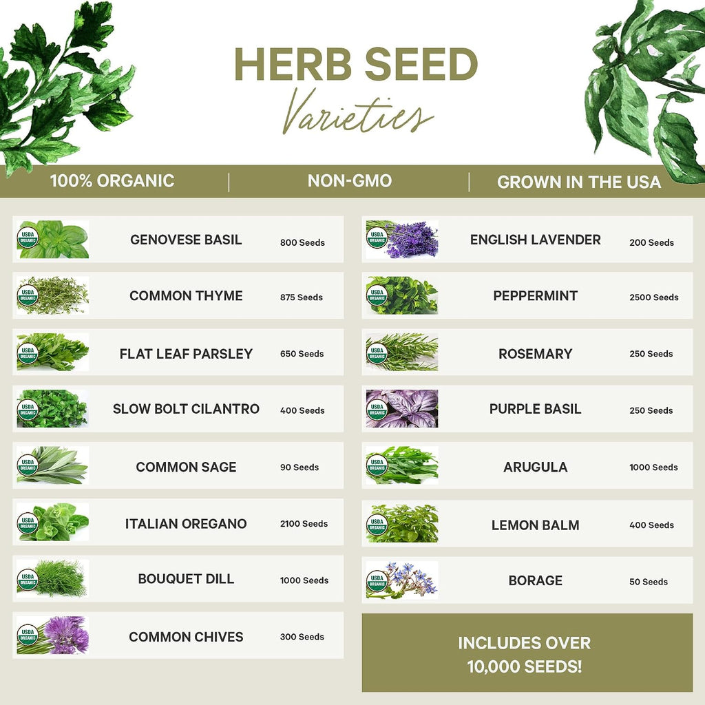 15 Certified Organic Herb Seeds Variety Pack (4X More) 10,000+ Non GMO Seeds for Planting Indoor Herb Garden or Outdoor