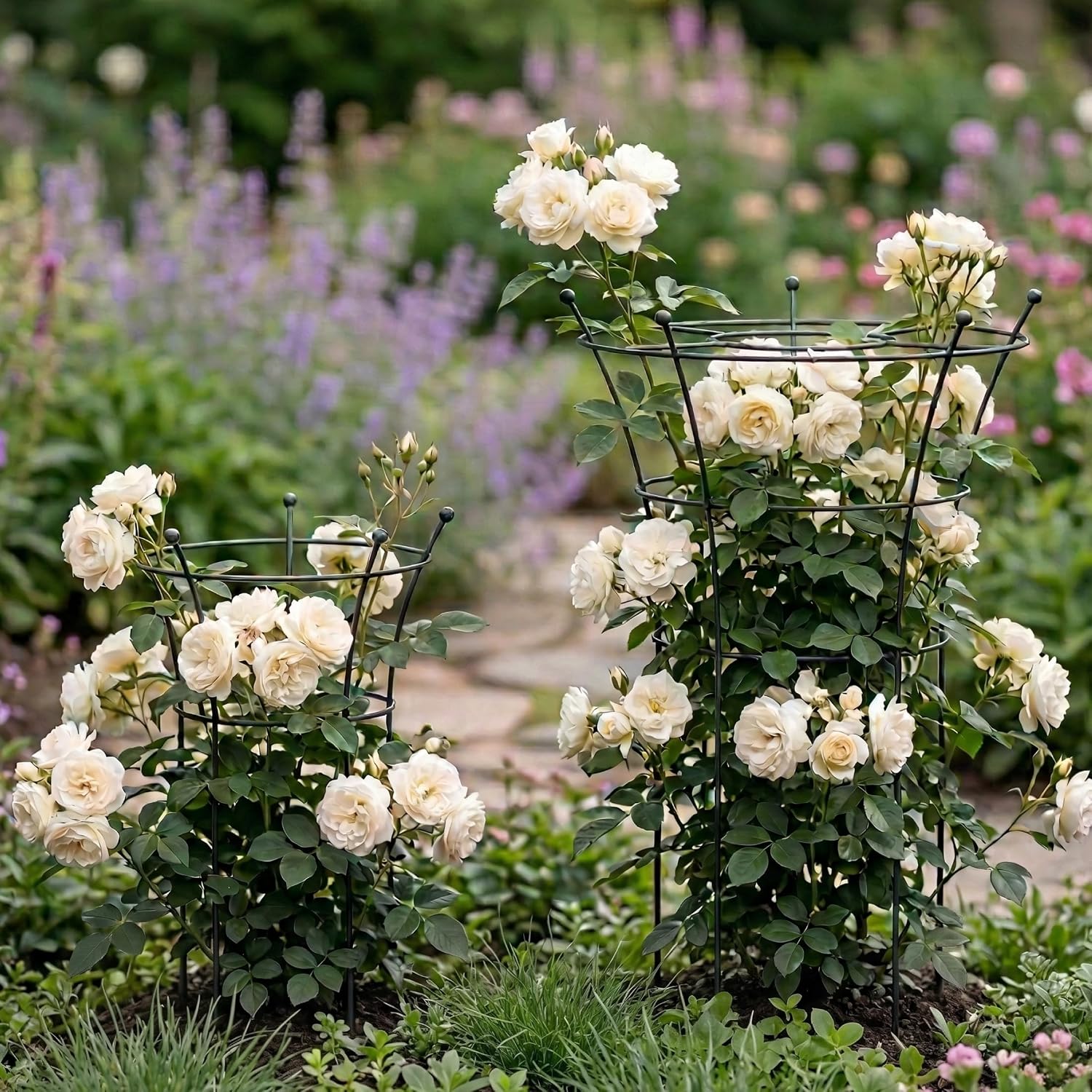 Peony Cages and Supports 2 Pack, Heavy Duty Metal Flower Support Cage, 24"(W) x 36" (H) Trumpet Plant Support for