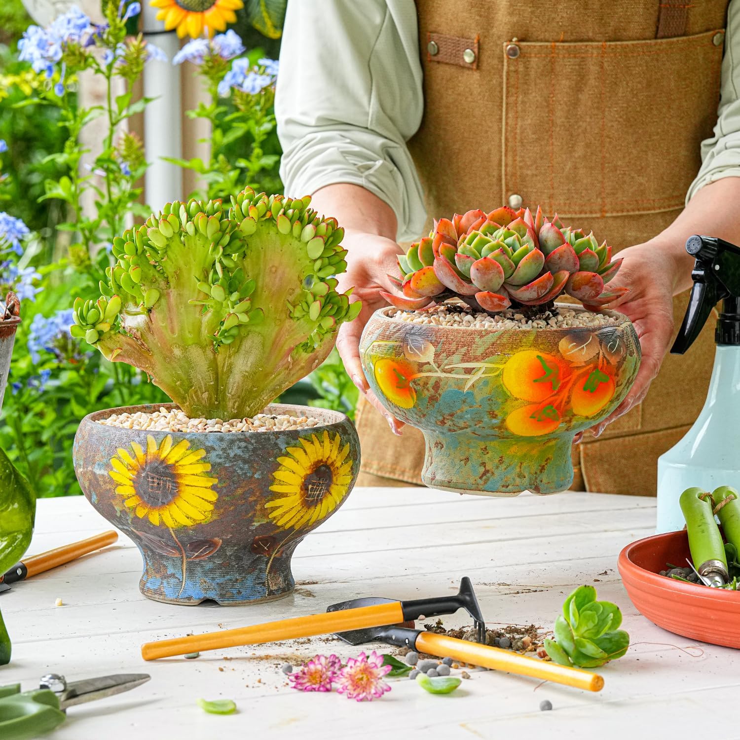 Sungmor Small Succulent Planters Set of 2, Beautiful Hand Crafted Ceramic Plant Pots Cute Cactus Pot, 6.5 Inch Flower