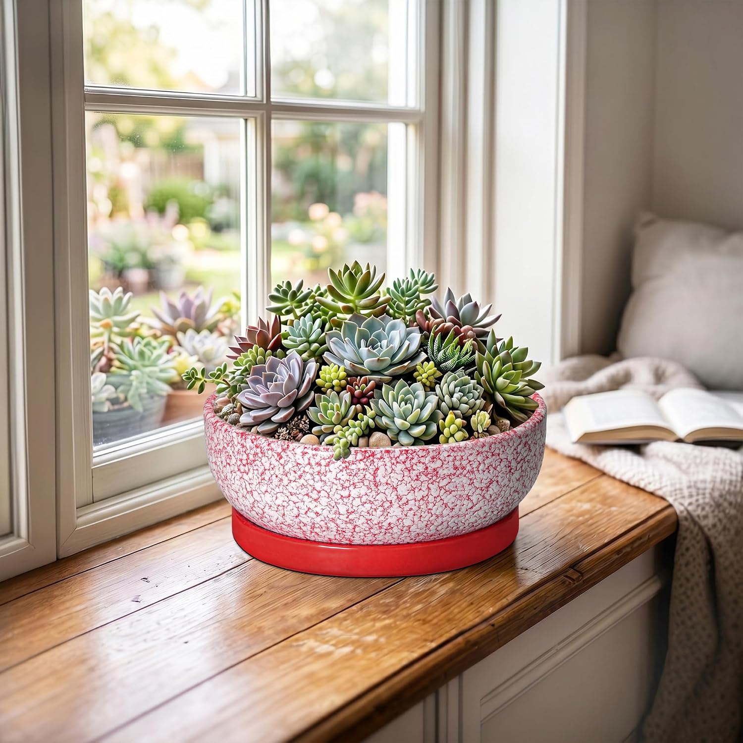 Ceramic Succulent Planter, 8 Inch Bonsai Pots with Tray, Texture Red | Succulent Pots for Indoor Plants, Round Shallow