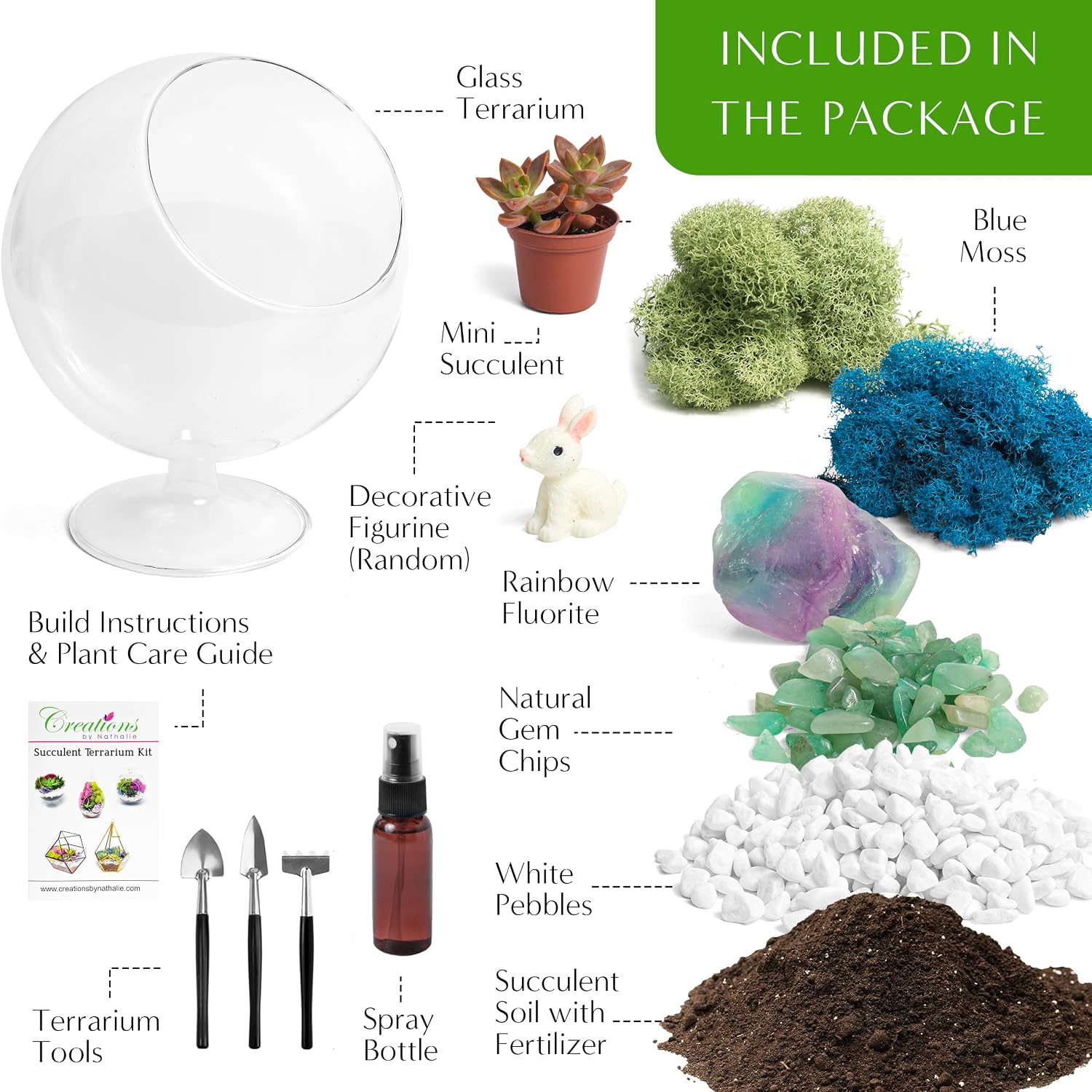 Creations by Nathalie DIY 6" Chalice Terrarium Kit Build Your Own Glass Terrarium for Adults & Teens with Live