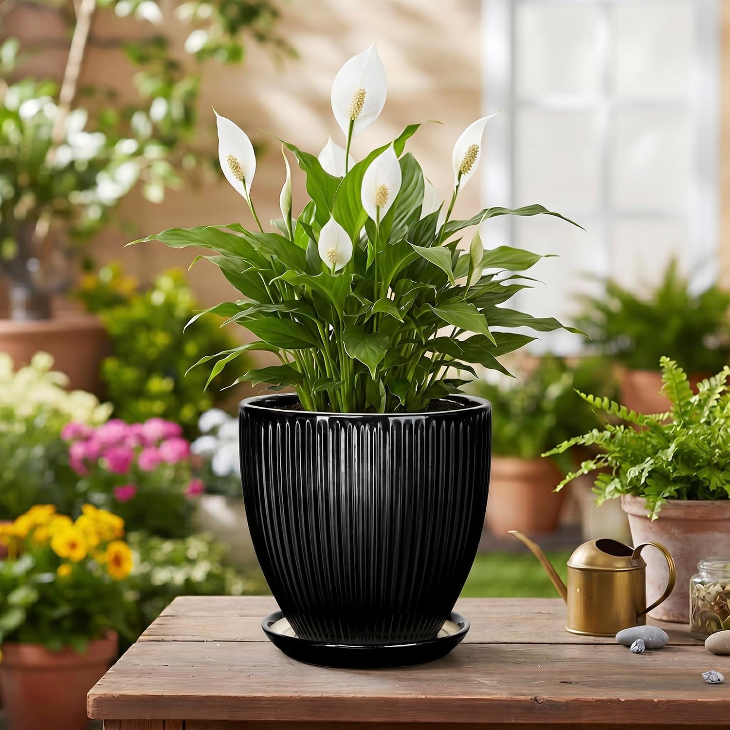 6 Inch Ceramic Planter, Indoor Plant Pots for Small Plants, Decorative Flower Pots with Drainage Hole and Saucer, Round