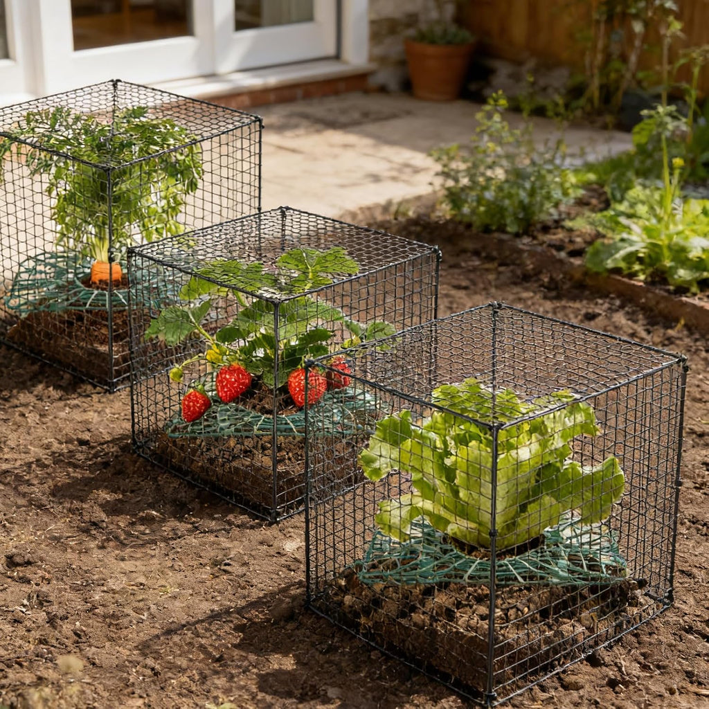 6 Set Upgraded Strawberry Protection Supports with Wire Plant Protectors from Animal Sturdy Metal Wire Plant Cages Mesh