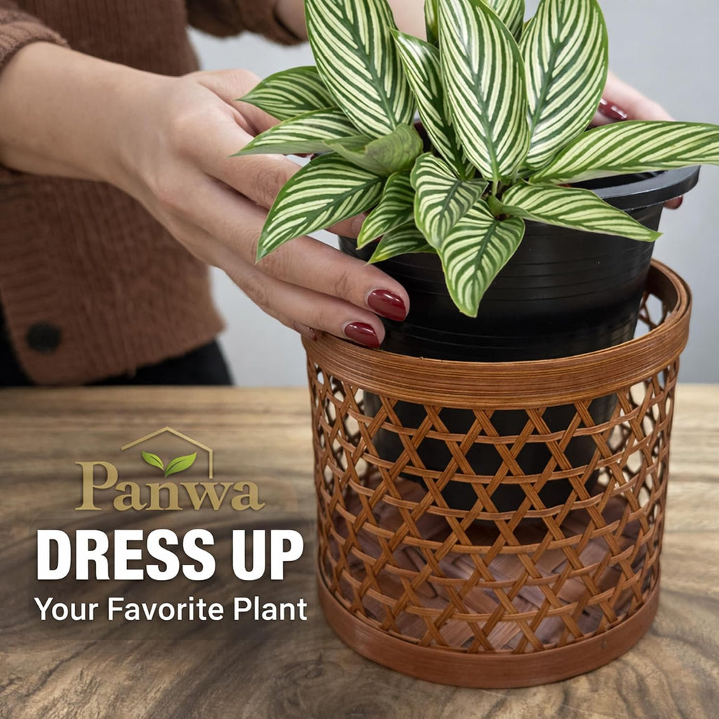 Handcrafted Bamboo Tabletop Decorative Plant Pot Covers - Multi Set of 3 – for Indoor Plants, Orchids, Succulents –