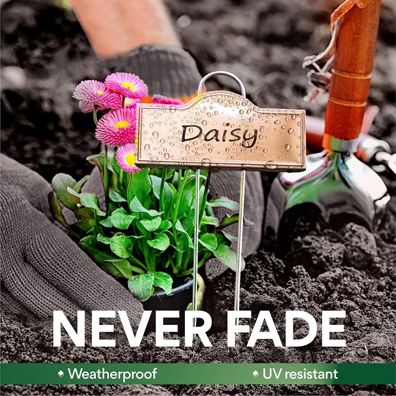 Stainless Steel 304 Plant Labels Weatherproof, Metal Garden Label Tall Markers 25 Pack for Plants Vegetables Herb