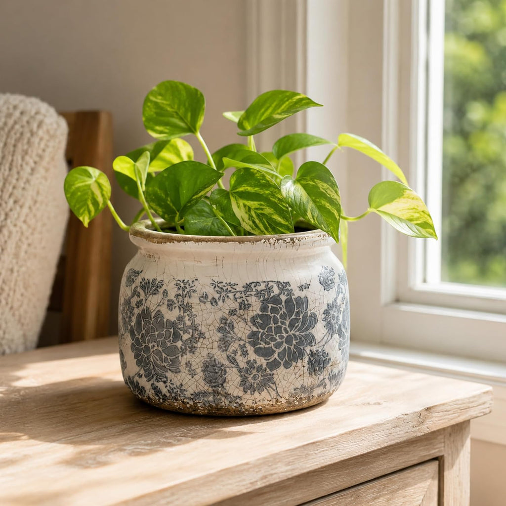 Dosayes Large Ceramic Pot for Planters, Ice Crack Glazed Flower Pot with Drainage Holes,5.91inch Vintage Planters for