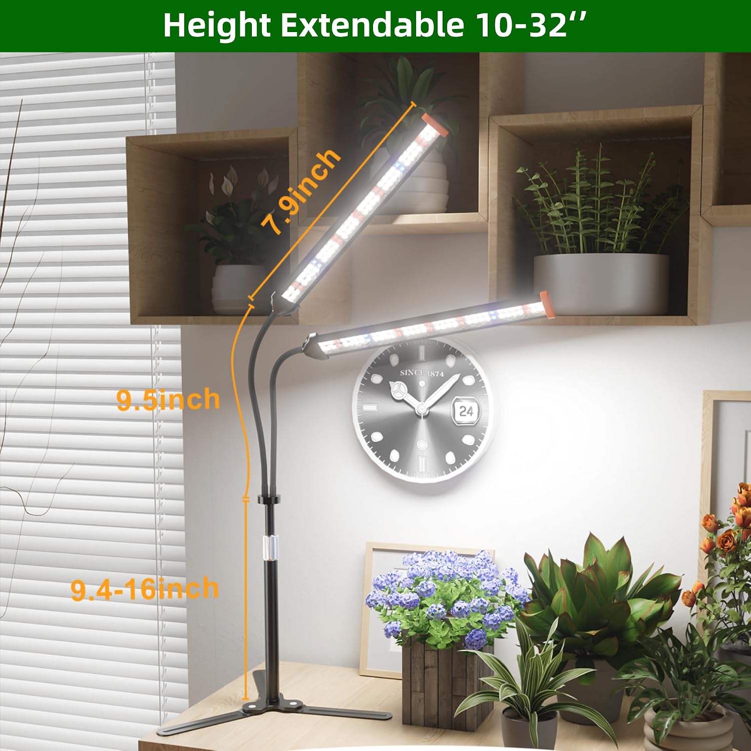 Grow Light for Indoor Plants,Height 10-32'' with Dimming & Timer | Full Spectrum Growing Plant Lamp with White Red Blue