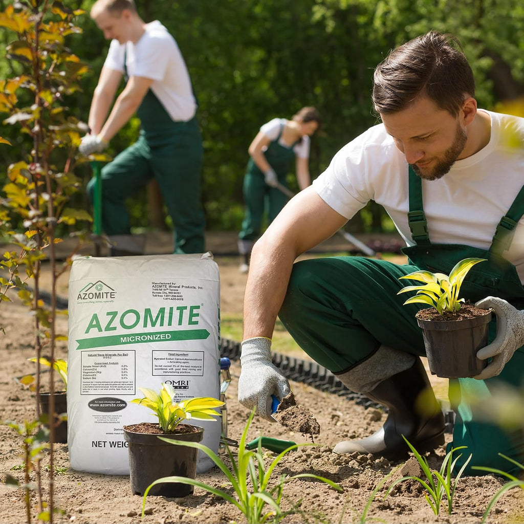 Azomite Raw Supply Organic Trace Mineral Powder 44LB Micronized, White