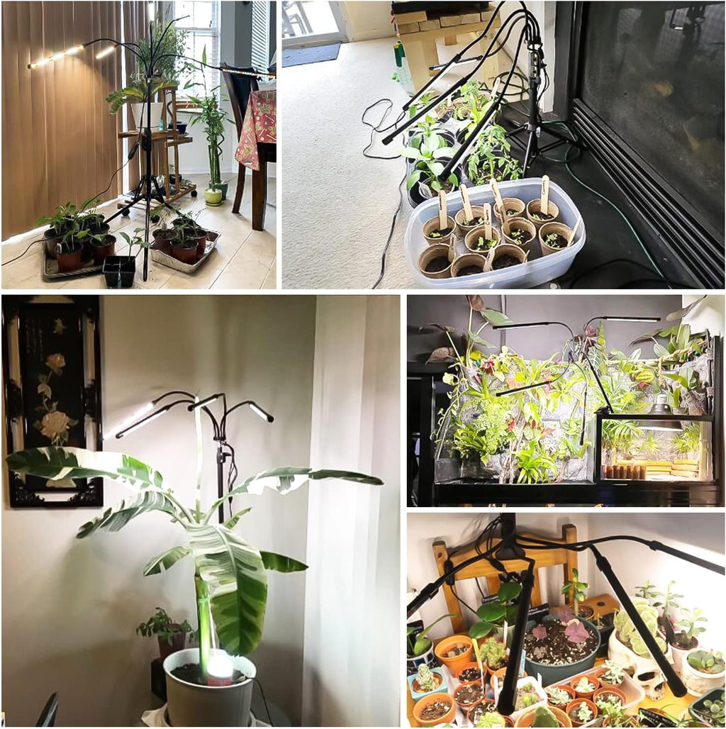 Grow Lights for Indoor Plants, 5 Heads Grow Light with Tripod Stand | Full Spectrum,100PCS LEDs,3 Light Modes,6/12/16H