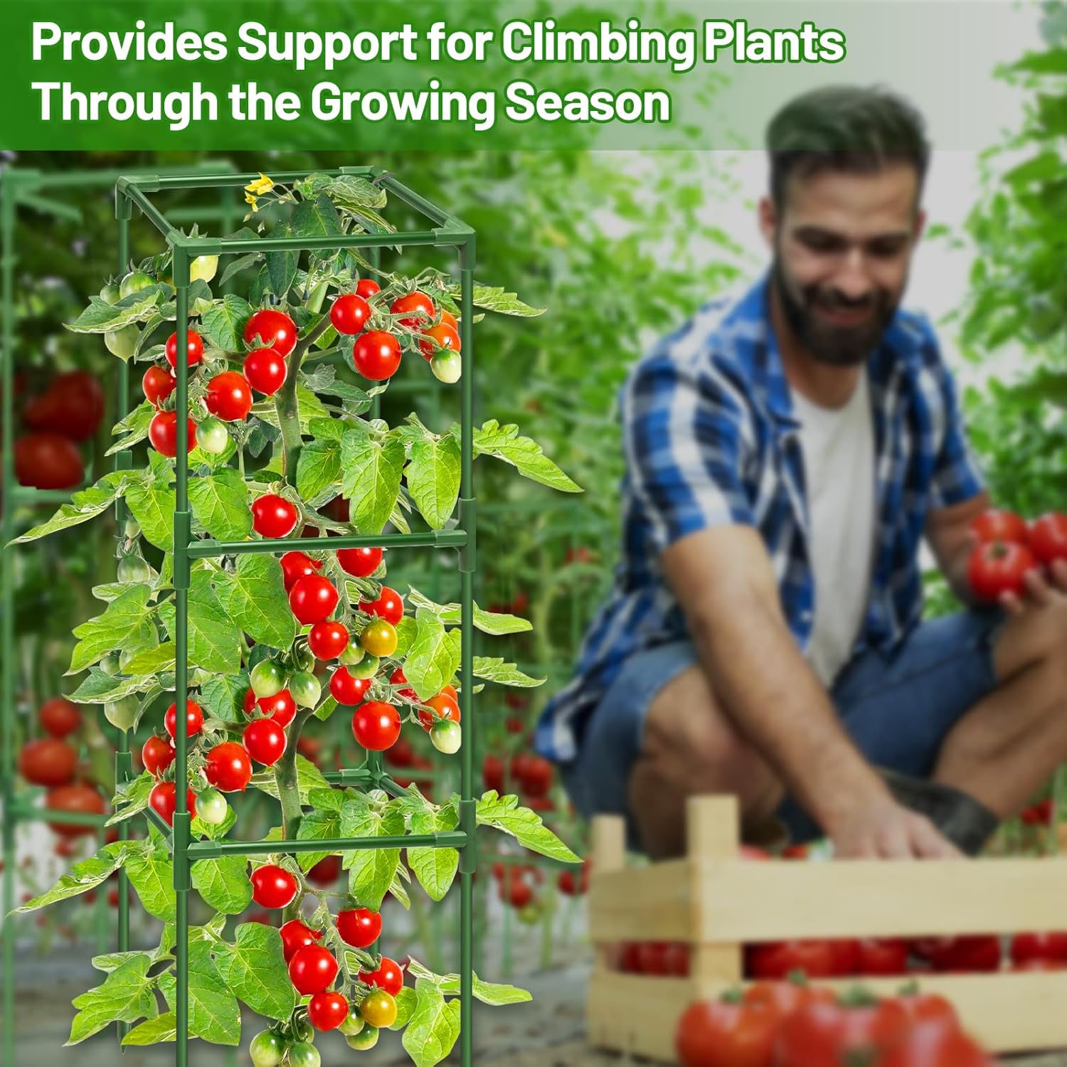 6 Pack 45 Inch Tomato Cages for Garden, Heavy Duty Tomato Trellis | Adjustable & Reusable Square Tomato Plant Support