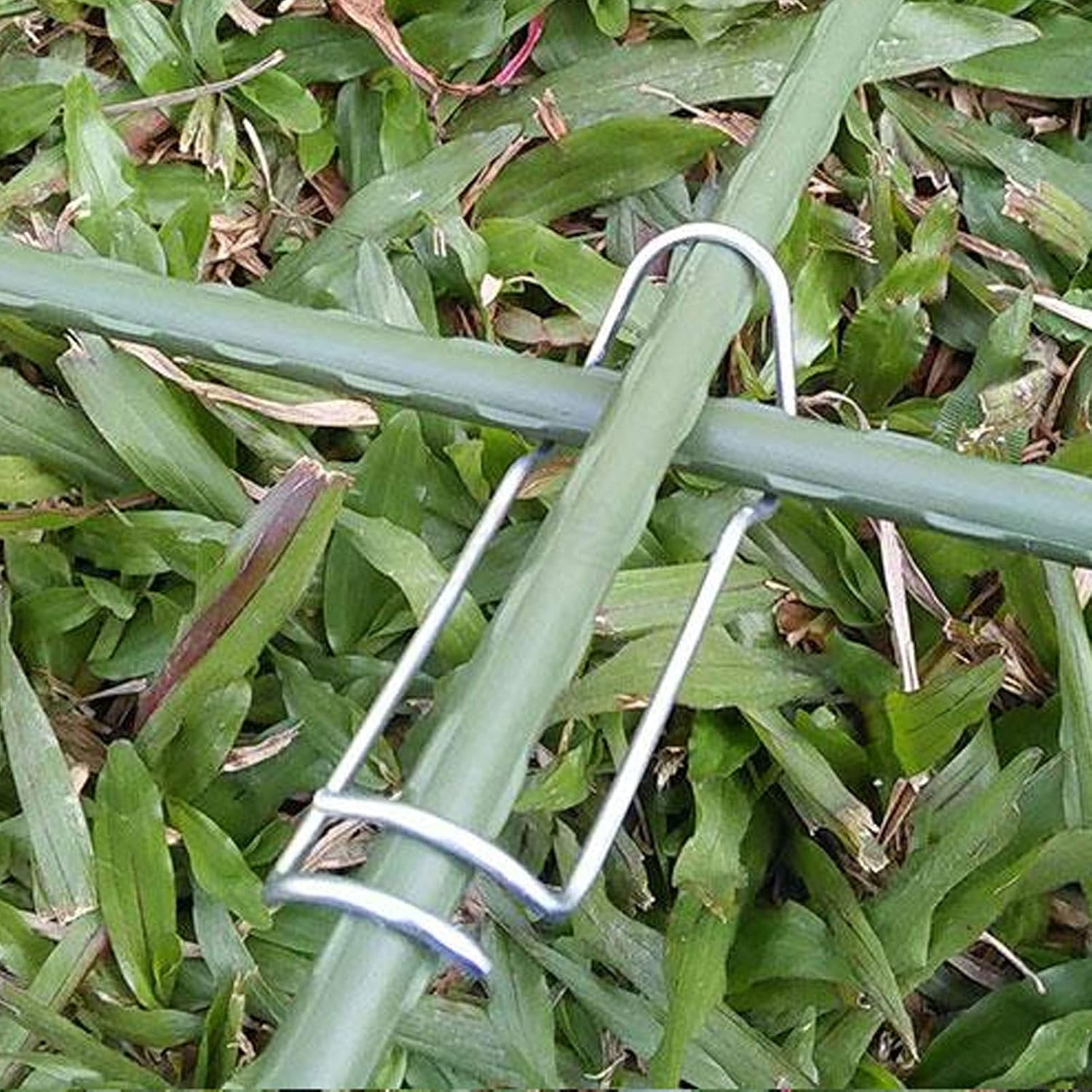 Plant Support Spring Clips, 30Pcs x 16 mm/0.63 in Diameter | Stainless Steel | Greenhouse & Garden Trellis | Fix Vines