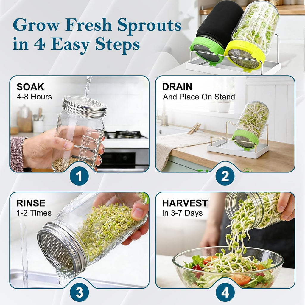 Seed Sprouting Kit, 2 Wide Mouth Mason Jars with Sprout Lids, Green Onion Regrower, Stainless Steel Stand, Drain Tray
