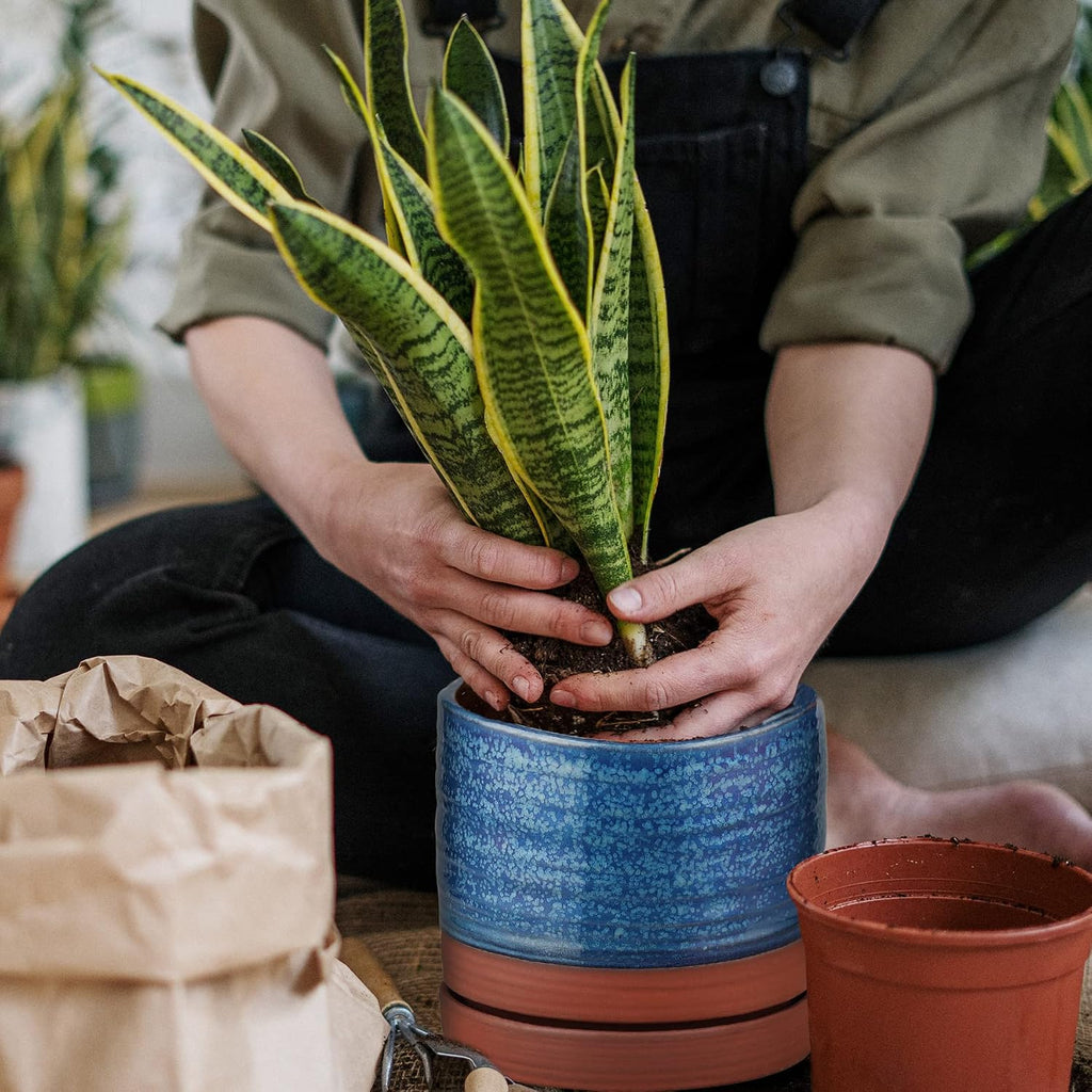 HERDUK 6 Inch Plant Pots, Ceramic Planter Pot with Drainage Hole & Saucer, Indoor/Outdoor Cylinder Round Planter Pot