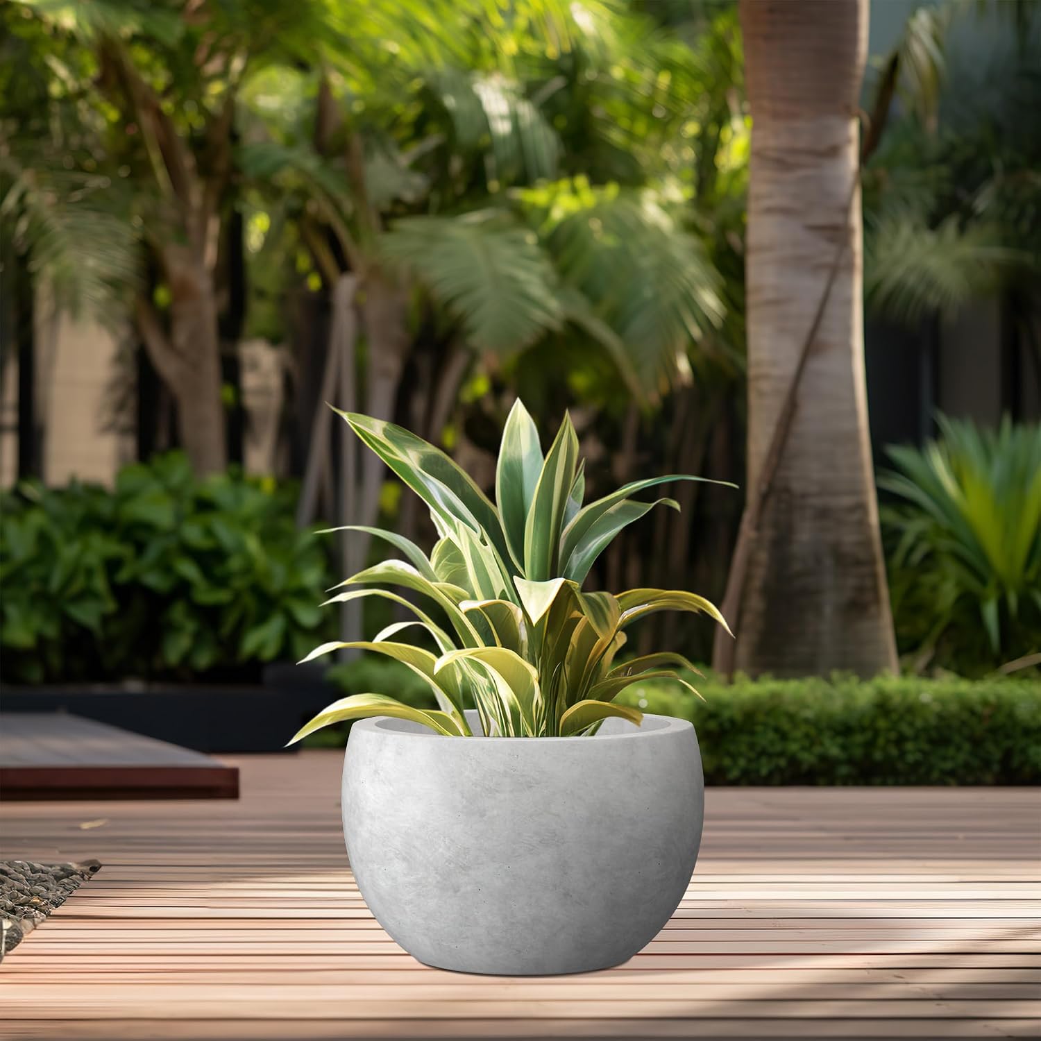 Kante Small Round Bowl Pale Gray Concrete Planter 11.8" Dia, Outdoor | Rubber Plug for Indoor, Drainage for Garden