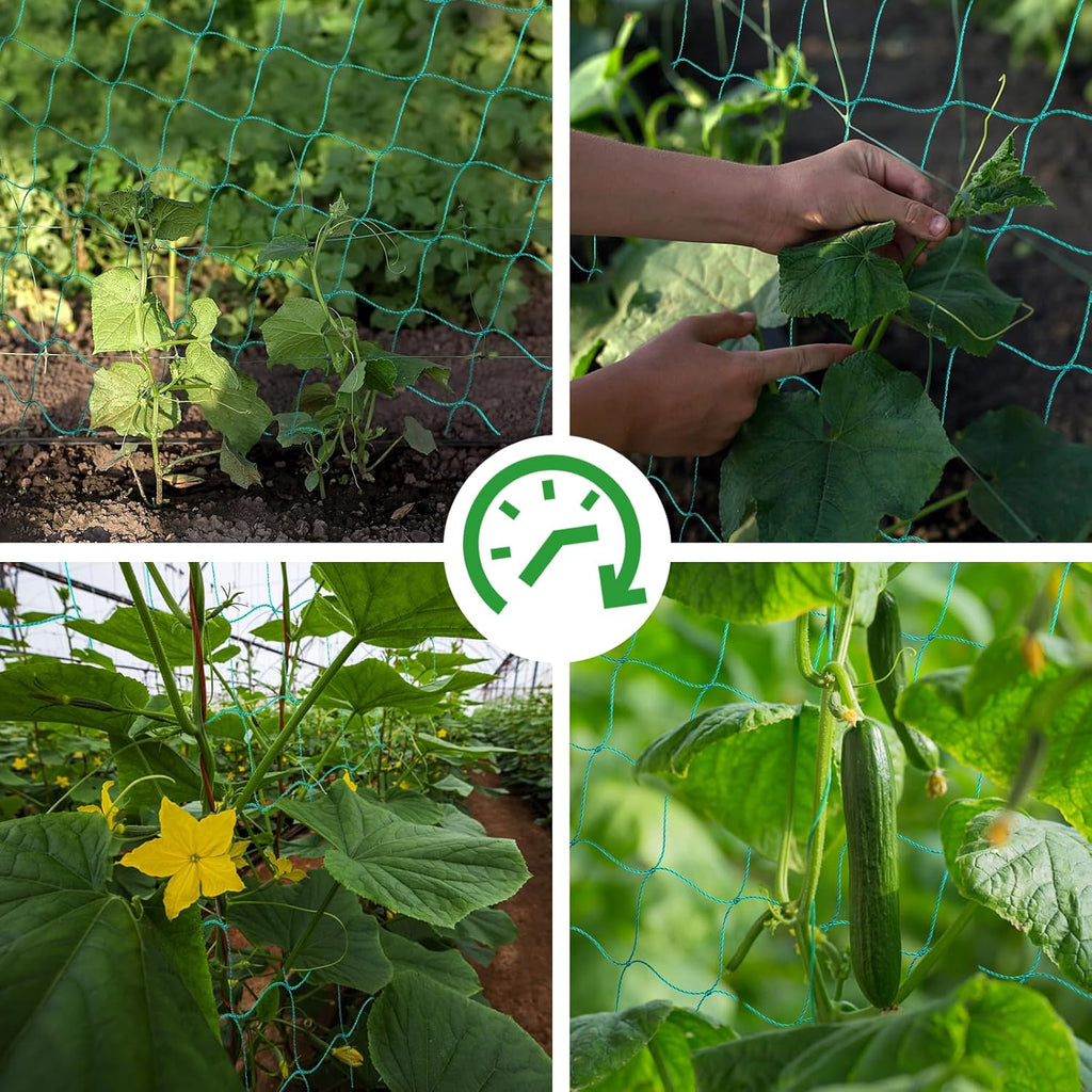 Trellis Netting, Heavy-Duty Garden Grow Netting for Climbing Plants, Outdoor Indoor Net for Cucumber, Tomatoes, Beans