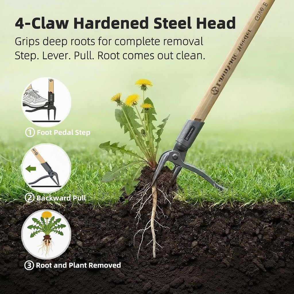 Stand Up Weed Puller Tool, Long Handle Weed Remover, 4-Claw Steel Head | Manual Root Remover, No-Bend Weeding, Bamboo