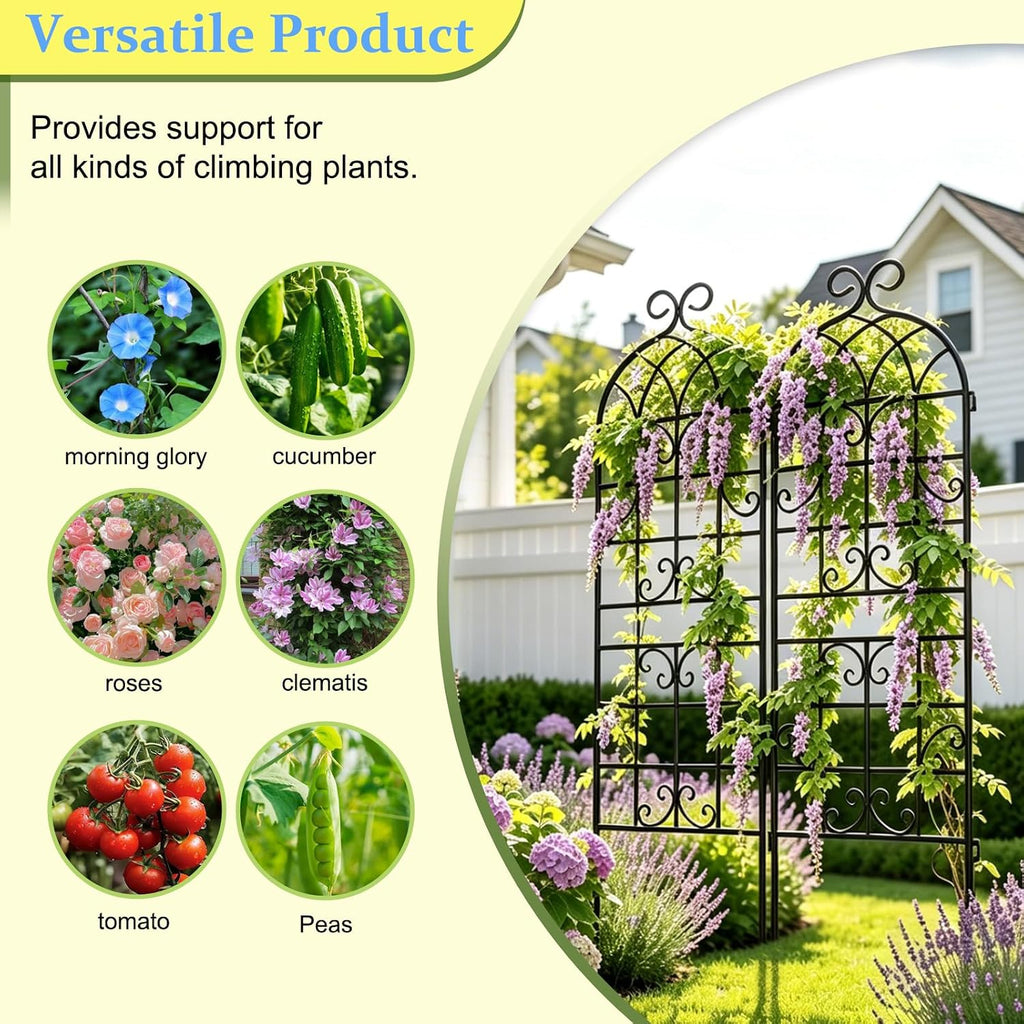 Lorenzo 2 Pcs 70 x 20 Inch Rustic Iron Garden Trellis for Climbing Plants Outdoor, Black Metal Arch Decoration Plant