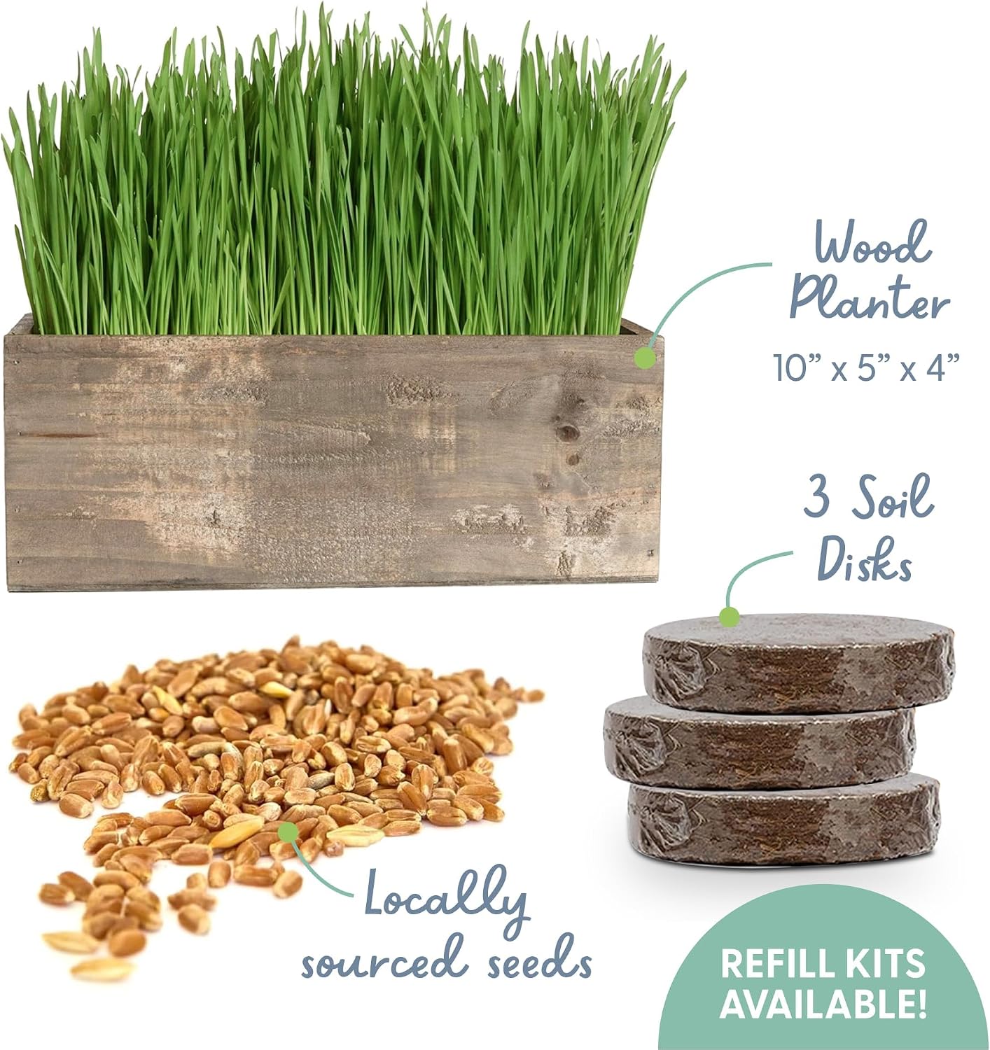The Cat Ladies Cat Grass Kit Complete with Rustic Wood Planter, Organic Seed and Soil. Easy to Grow - Great for Indoor