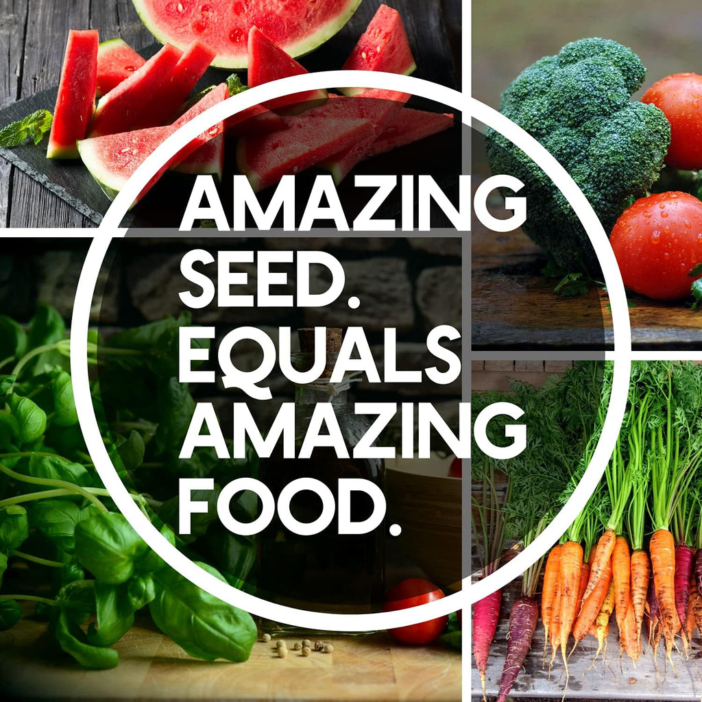 Mountain Valley Seed Co 10 Assorted Organic Vegetable Seeds for Planting | ~3,200 + Heirloom Non-GMO Fruit Seeds, Herb