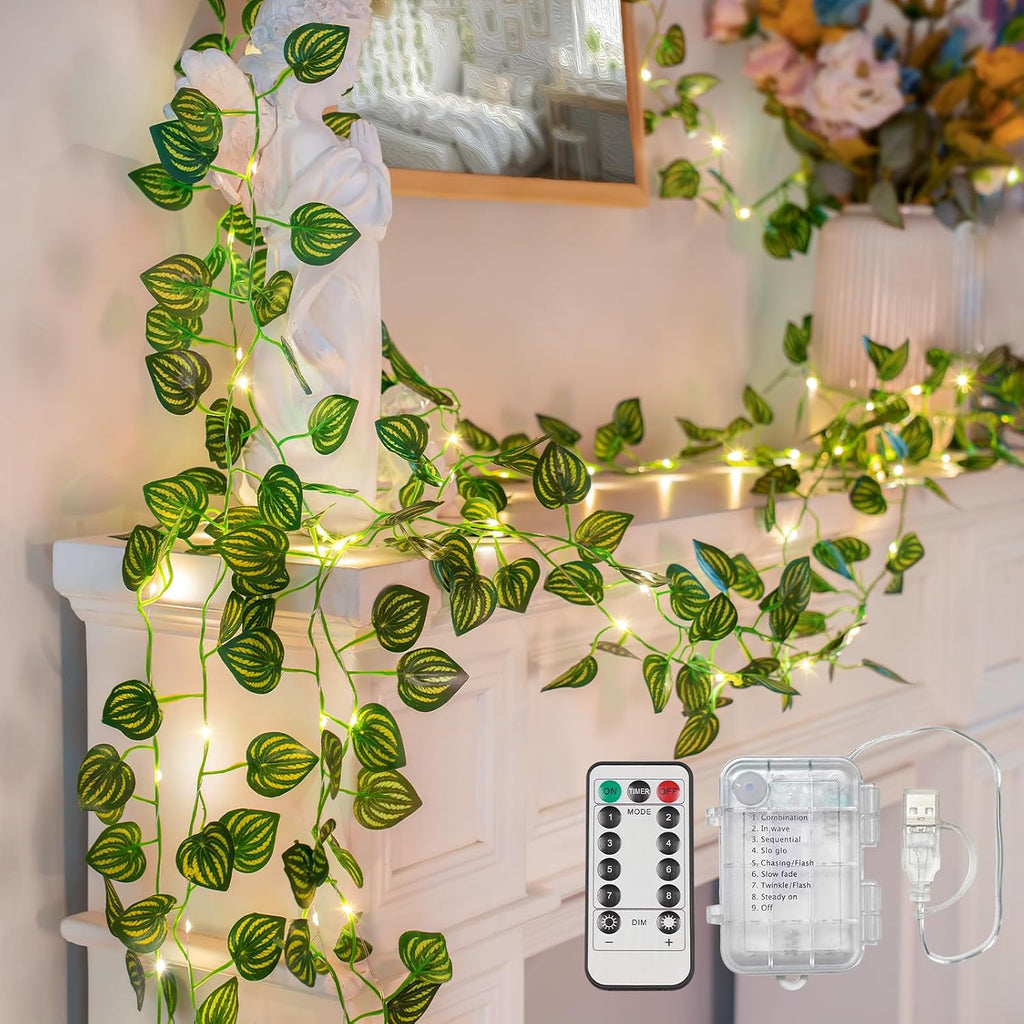 suddus 33FT Watermelon Vines with Lights Battery&USB Powered Copper Wire