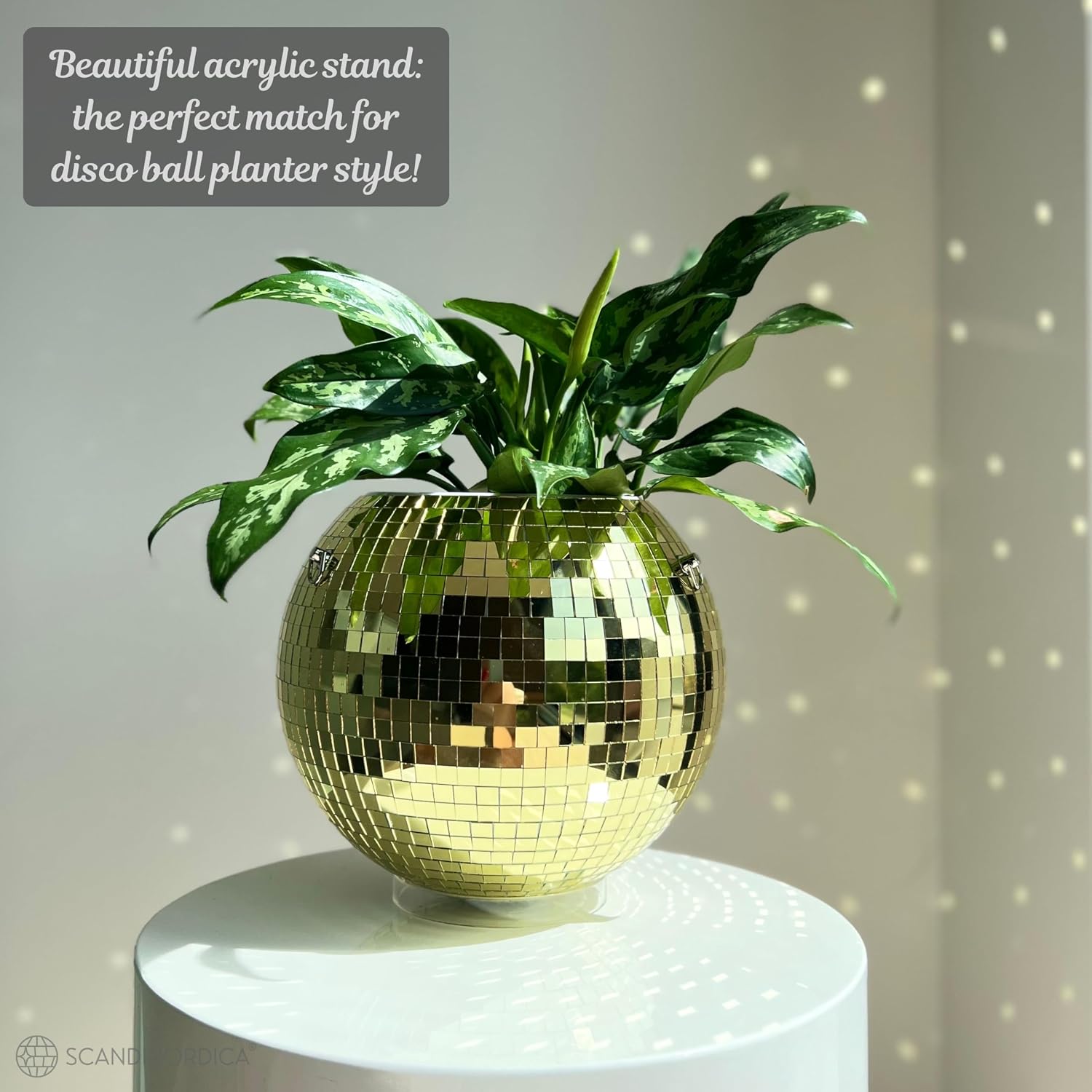 Disco Ball Planter – Value Package: Mirror Disco Planter with Chain, Macrame Hanger and Acrylic Stand for Desk