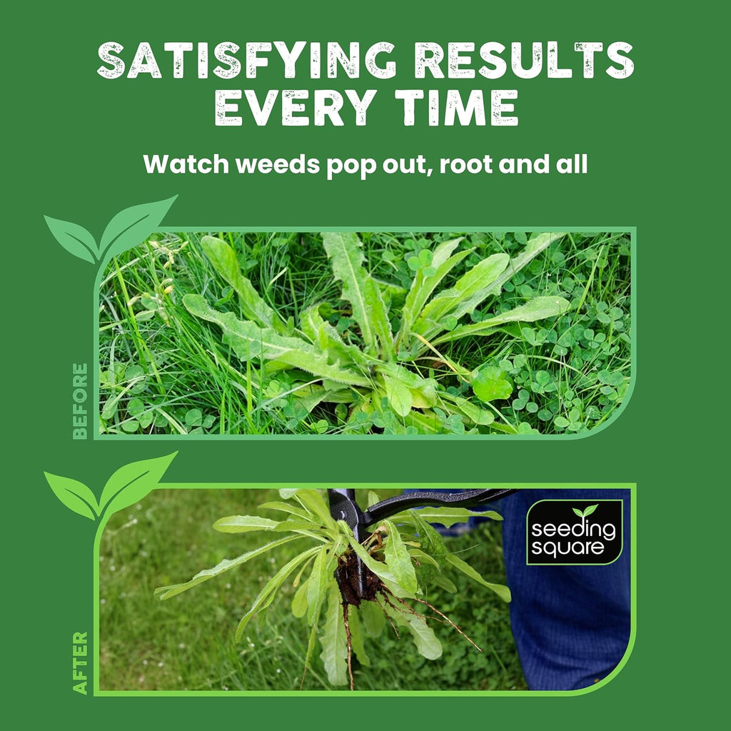 Stand-Up Weed Puller Tool with Long Handle for Dandelions and Garden Weeds. | Carbon Steel Head | Bamboo Shaft