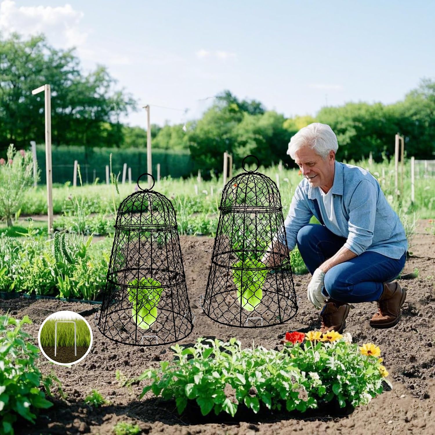 6 PCS 17.7"H X11.42"D Chicken Wire Plant Covers Protectors, Rustproof Heavy Duty Metal Plant Cage with Stakes & Labels
