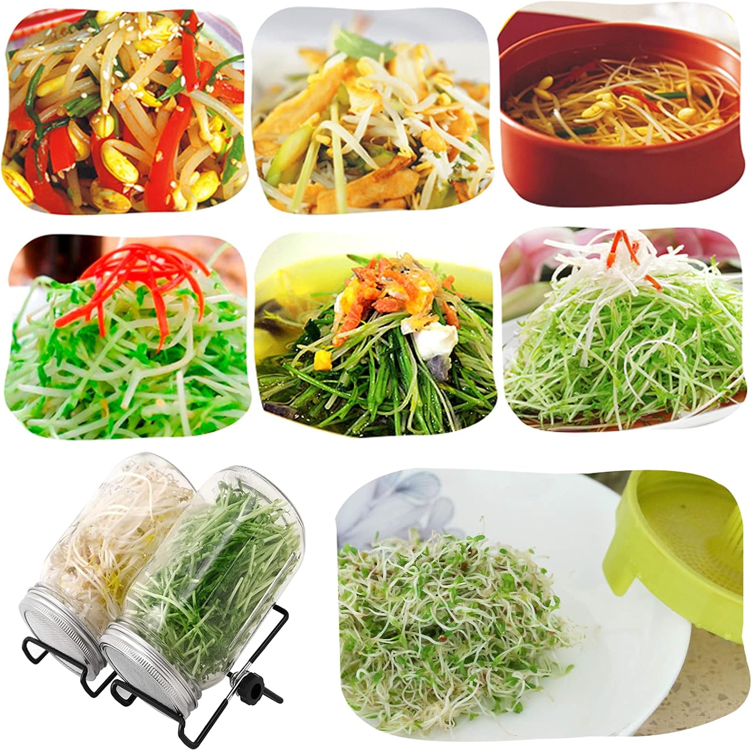 Lulonpon 4 Sprouting Jar Kit, Wide Mouth Quart Mason Jars with Stainless Steel Screen Sprout Lids