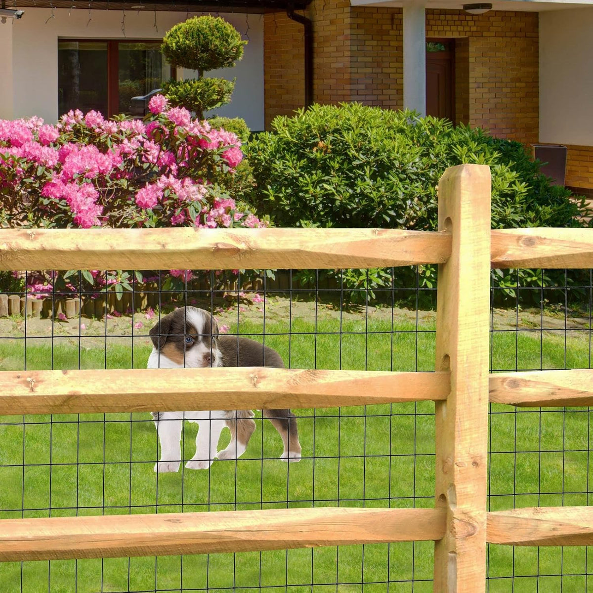 Black PVC Coated Welded Wire Fence 24" x 50' Roll, 2"x3" Mesh, 16 Gauge | Vinyl Coated Garden Fencing, Yard & Pet