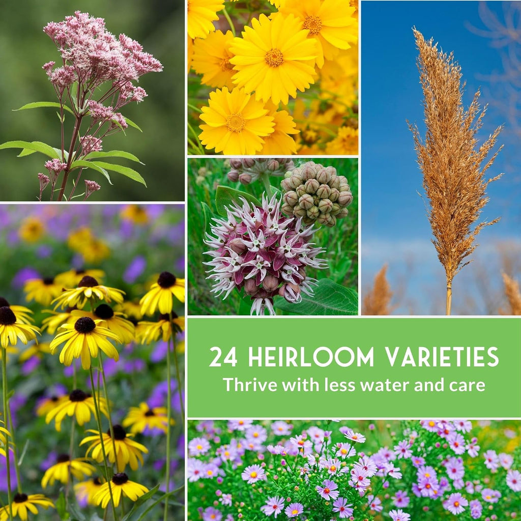 American Wildflower Seeds for Planting - 24 Variety Pack of Native Plants | Native Flowers + Bunchgrasses for Butterfly